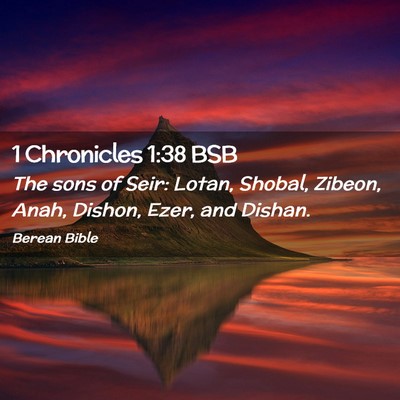 Picture 02 - 1 Chronicles 1:38 BSB - The sons of Seir: Lotan, Shobal, Zibeon, Anah, - Bible Verse Picture