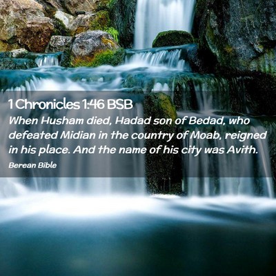 Picture 02 - 1 Chronicles 1:46 BSB - When Husham died, Hadad son of Bedad, who - Bible Verse Picture