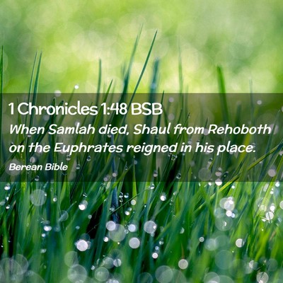 Picture 02 - 1 Chronicles 1:48 BSB - When Samlah died, Shaul from Rehoboth on the - Bible Verse Picture