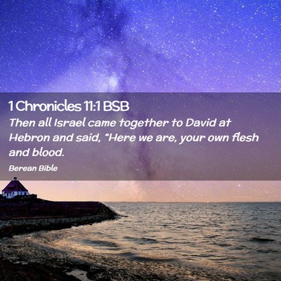 Picture 02 - 1 Chronicles 11:1 BSB - Then all Israel came together to David at Hebron - Bible Verse Picture