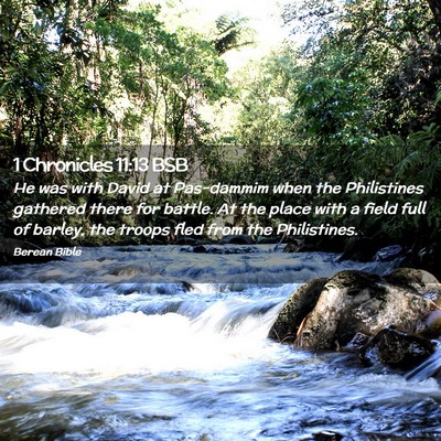 Picture 02 - 1 Chronicles 11:13 BSB - He was with David at Pas-dammim when the - Bible Verse Picture
