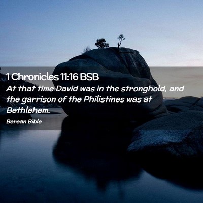 Picture 02 - 1 Chronicles 11:16 BSB - At that time David was in the stronghold, and the - Bible Verse Picture