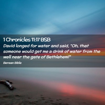 Picture 02 - 1 Chronicles 11:17 BSB - David longed for water and said, “Oh, that - Bible Verse Picture