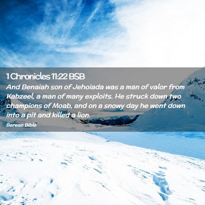 Picture 02 - 1 Chronicles 11:22 BSB - And Benaiah son of Jehoiada was a man of valor - Bible Verse Picture