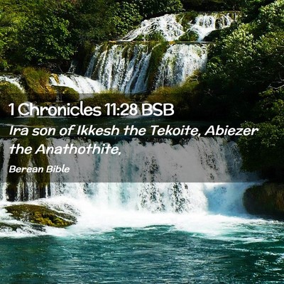Picture 02 - 1 Chronicles 11:28 BSB - Ira son of Ikkesh the Tekoite, Abiezer the - Bible Verse Picture