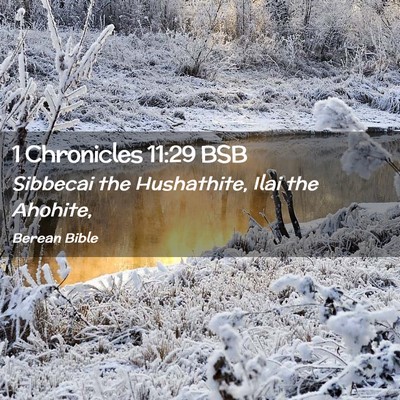 Picture 02 - 1 Chronicles 11:29 BSB - Sibbecai the Hushathite, Ilai the - Bible Verse Picture