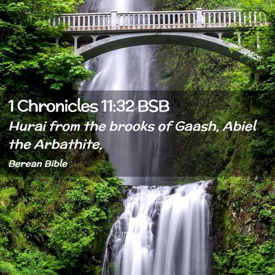 Picture 02 - 1 Chronicles 11:32 BSB - Hurai from the brooks of Gaash, Abiel the - Bible Verse Picture