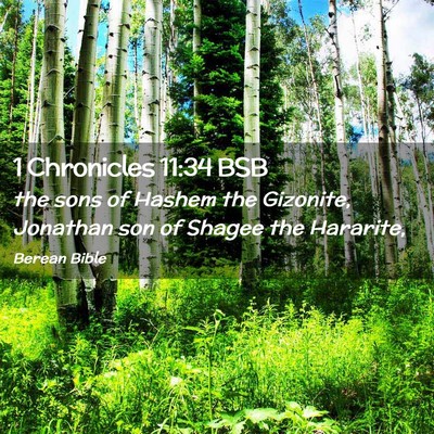 Picture 02 - 1 Chronicles 11:34 BSB - the sons of Hashem the Gizonite, Jonathan son of - Bible Verse Picture