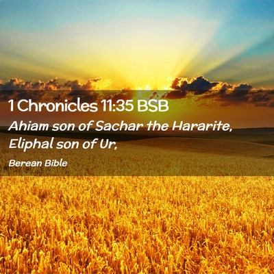 Picture 02 - 1 Chronicles 11:35 BSB - Ahiam son of Sachar the Hararite, Eliphal son of - Bible Verse Picture