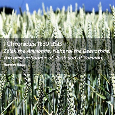 Picture 02 - 1 Chronicles 11:39 BSB - Zelek the Ammonite, Naharai the Beerothite, the - Bible Verse Picture
