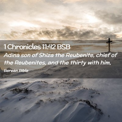 Picture 02 - 1 Chronicles 11:42 BSB - Adina son of Shiza the Reubenite, chief of the - Bible Verse Picture