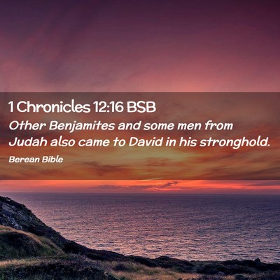 Picture 02 - 1 Chronicles 12:16 BSB - Other Benjamites and some men from Judah also - Bible Verse Picture
