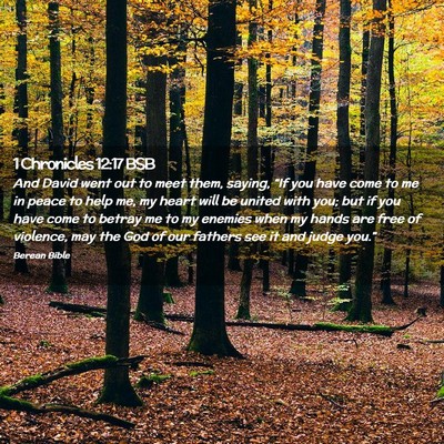 Picture 02 - 1 Chronicles 12:17 BSB - And David went out to meet them, saying, “If - Bible Verse Picture