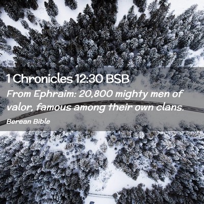 Picture 02 - 1 Chronicles 12:30 BSB - From Ephraim: 20,800 mighty men of valor, famous - Bible Verse Picture