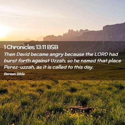 Picture 02 - 1 Chronicles 13:11 BSB - Then David became angry because the LORD had - Bible Verse Picture