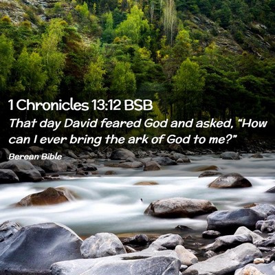Picture 02 - 1 Chronicles 13:12 BSB - That day David feared God and asked, “How can I - Bible Verse Picture