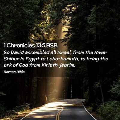 Picture 02 - 1 Chronicles 13:5 BSB - So David assembled all Israel, from the River - Bible Verse Picture