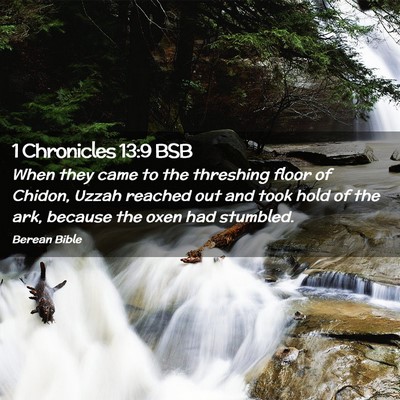 Picture 02 - 1 Chronicles 13:9 BSB - When they came to the threshing floor of Chidon, - Bible Verse Picture