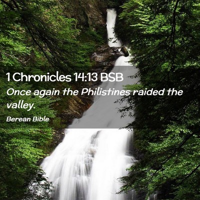 Picture 02 - 1 Chronicles 14:13 BSB - Once again the Philistines raided the - Bible Verse Picture