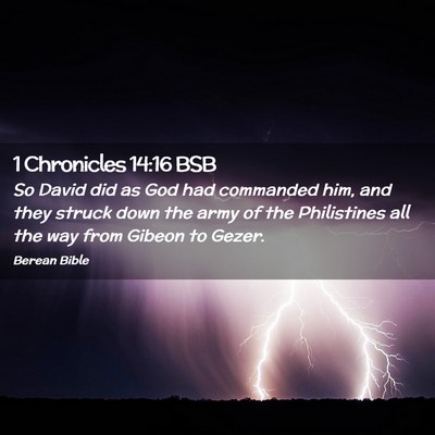 Picture 02 - 1 Chronicles 14:16 BSB - So David did as God had commanded him, and they - Bible Verse Picture