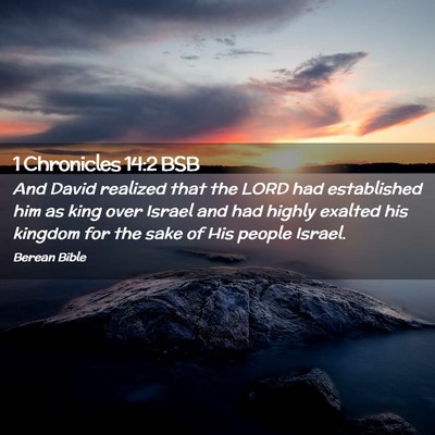 Picture 02 - 1 Chronicles 14:2 BSB - And David realized that the LORD had established - Bible Verse Picture