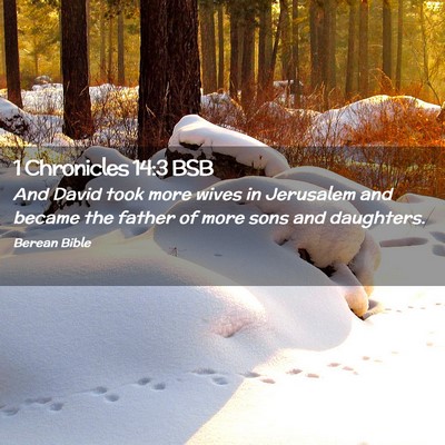 Picture 02 - 1 Chronicles 14:3 BSB - And David took more wives in Jerusalem and became - Bible Verse Picture