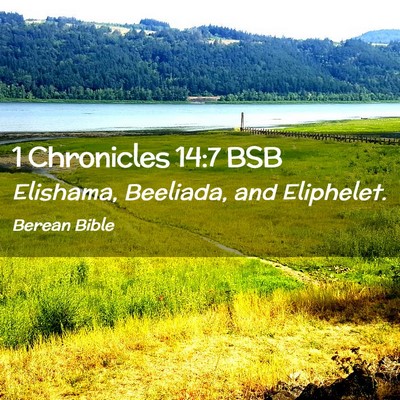 Picture 02 - 1 Chronicles 14:7 BSB - Elishama, Beeliada, and - Bible Verse Picture