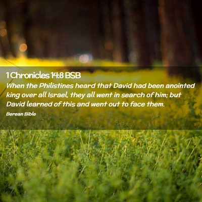 Picture 02 - 1 Chronicles 14:8 BSB - When the Philistines heard that David had been - Bible Verse Picture