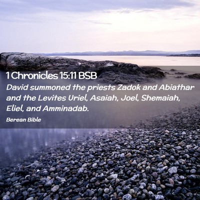 Picture 02 - 1 Chronicles 15:11 BSB - David summoned the priests Zadok and Abiathar and - Bible Verse Picture