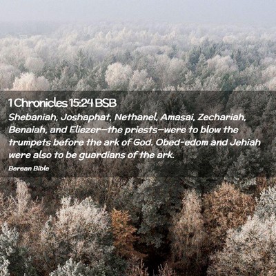 Picture 02 - 1 Chronicles 15:24 BSB - Shebaniah, Joshaphat, Nethanel, Amasai, - Bible Verse Picture
