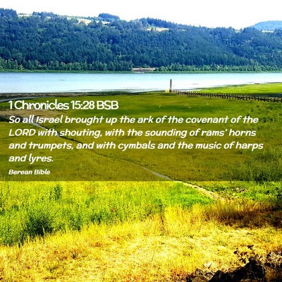 Picture 02 - 1 Chronicles 15:28 BSB - So all Israel brought up the ark of the covenant - Bible Verse Picture