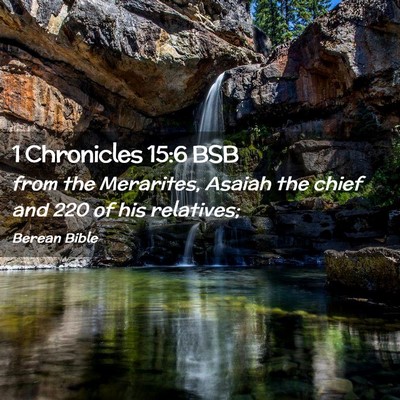 Picture 02 - 1 Chronicles 15:6 BSB - from the Merarites, Asaiah the chief and 220 of - Bible Verse Picture