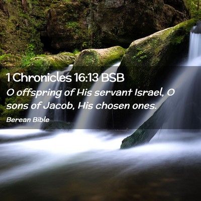 Picture 02 - 1 Chronicles 16:13 BSB - O offspring of His servant Israel, O sons of - Bible Verse Picture