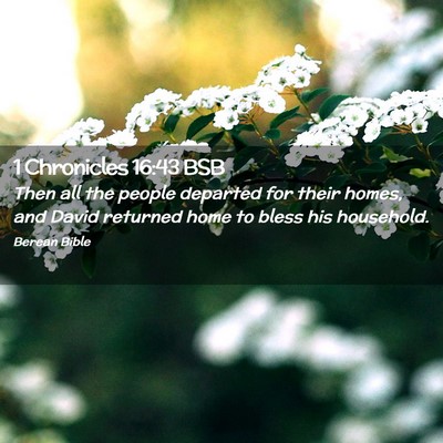 Picture 02 - 1 Chronicles 16:43 BSB - Then all the people departed for their homes, and - Bible Verse Picture