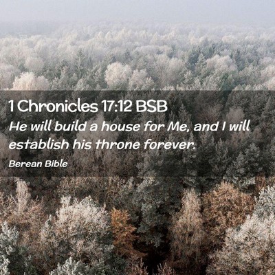 Picture 02 - 1 Chronicles 17:12 BSB - He will build a house for Me, and I will - Bible Verse Picture