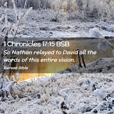 Picture 02 - 1 Chronicles 17:15 BSB - So Nathan relayed to David all the words of this - Bible Verse Picture