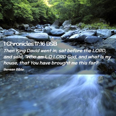 Picture 02 - 1 Chronicles 17:16 BSB - Then King David went in, sat before the LORD, and - Bible Verse Picture