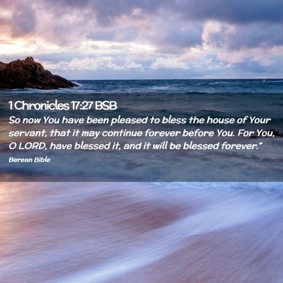 Picture 02 - 1 Chronicles 17:27 BSB - So now You have been pleased to bless the house - Bible Verse Picture