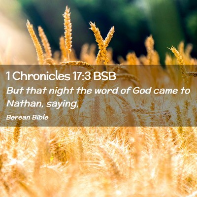 Picture 02 - 1 Chronicles 17:3 BSB - But that night the word of God came to Nathan, - Bible Verse Picture