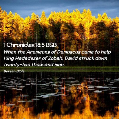 Picture 02 - 1 Chronicles 18:5 BSB - When the Arameans of Damascus came to help King - Bible Verse Picture