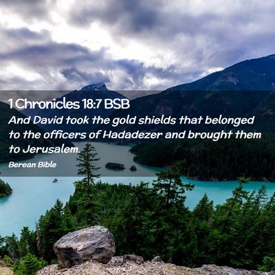Picture 02 - 1 Chronicles 18:7 BSB - And David took the gold shields that belonged to - Bible Verse Picture