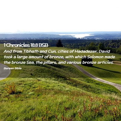 Picture 02 - 1 Chronicles 18:8 BSB - And from Tibhath and Cun, cities of Hadadezer, - Bible Verse Picture