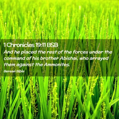 Picture 02 - 1 Chronicles 19:11 BSB - And he placed the rest of the forces under the - Bible Verse Picture
