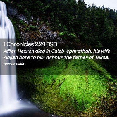 Picture 02 - 1 Chronicles 2:24 BSB - After Hezron died in Caleb-ephrathah, his wife - Bible Verse Picture