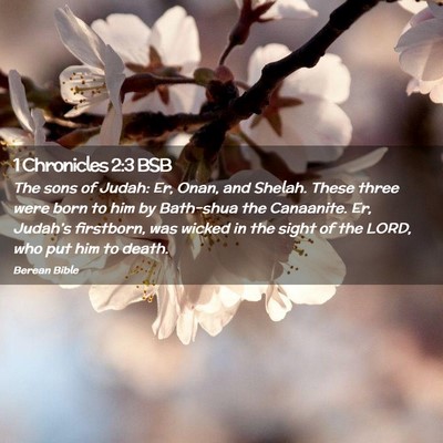 Picture 02 - 1 Chronicles 2:3 BSB - The sons of Judah: Er, Onan, and Shelah. These - Bible Verse Picture