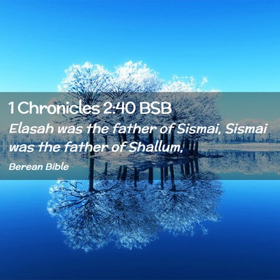 Picture 02 - 1 Chronicles 2:40 BSB - Elasah was the father of Sismai, Sismai was the - Bible Verse Picture