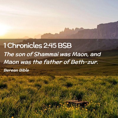 Picture 02 - 1 Chronicles 2:45 BSB - The son of Shammai was Maon, and Maon was the - Bible Verse Picture