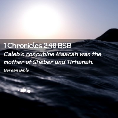 Picture 02 - 1 Chronicles 2:48 BSB - Caleb’s concubine Maacah was the mother of - Bible Verse Picture