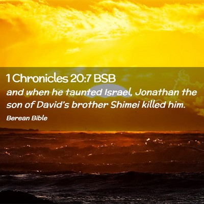 Picture 02 - 1 Chronicles 20:7 BSB - and when he taunted Israel, Jonathan the son of - Bible Verse Picture