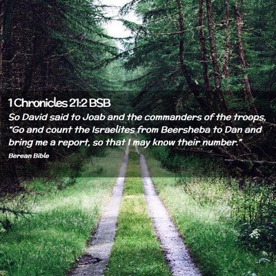 Picture 02 - 1 Chronicles 21:2 BSB - So David said to Joab and the commanders of the - Bible Verse Picture